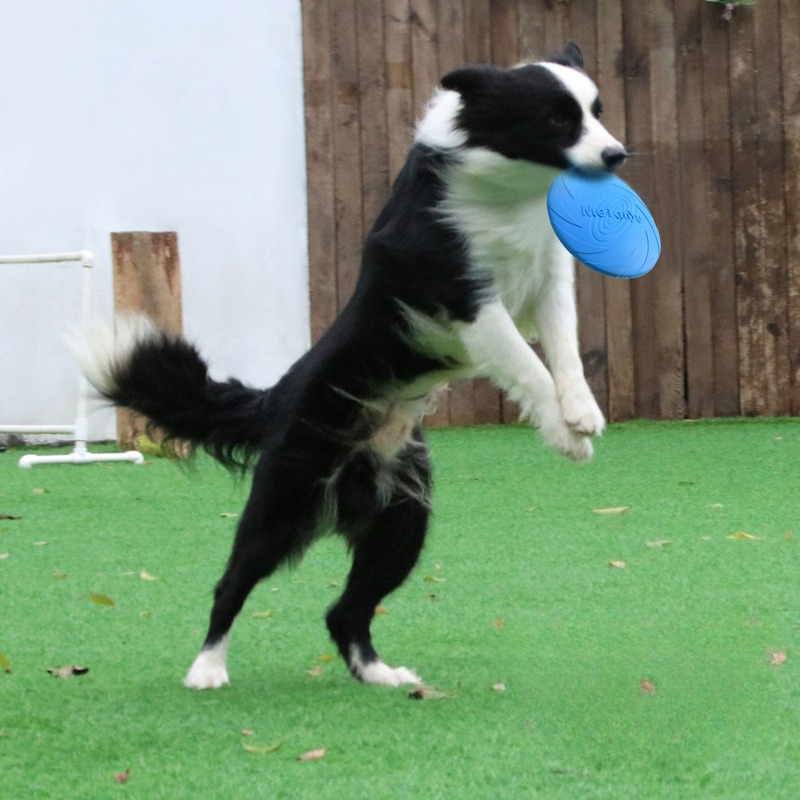 Frisbee Freestyle Disc - Frisbee dla psa, specjalny frisbee dla