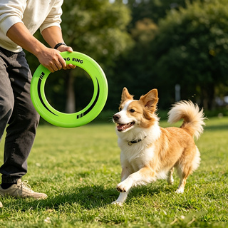 Frisbee Freestyle Disc - 1 szt. Wytrzymały, pusty w środku