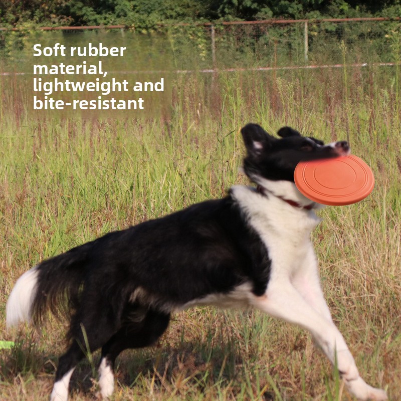 Miękki, latający frisbee dla p – Frisbee Freestyle Disc recenzja i cena