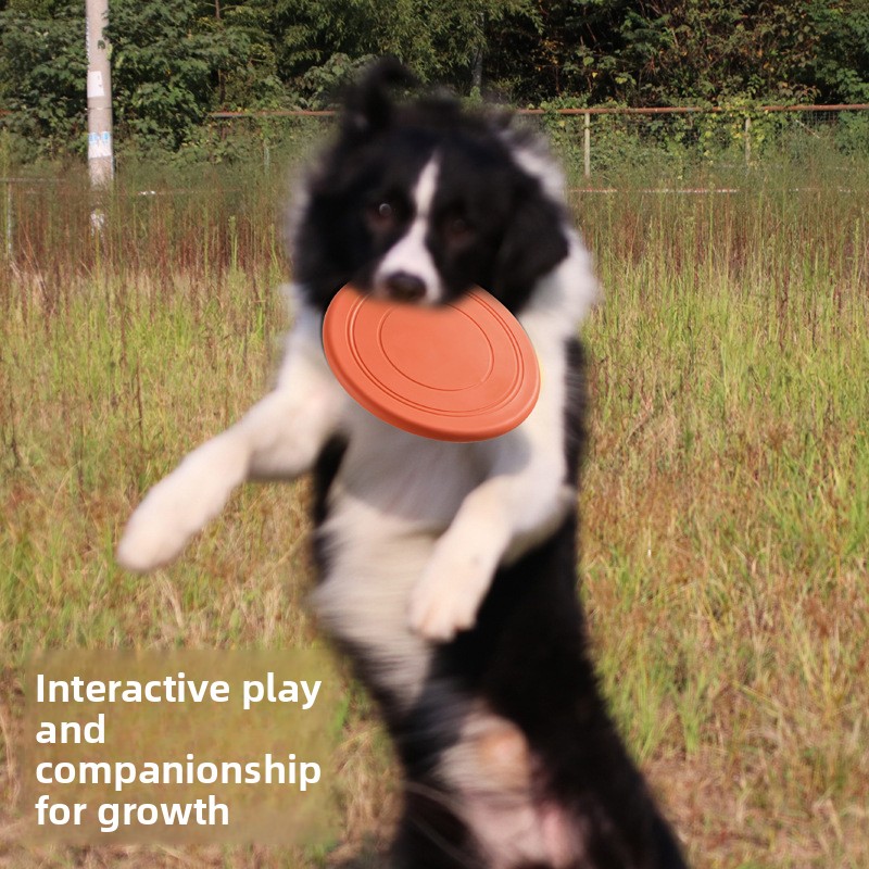Miękki, latający frisbee dla p – Frisbee Freestyle Disc recenzja i cena